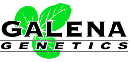 Galena Genetics